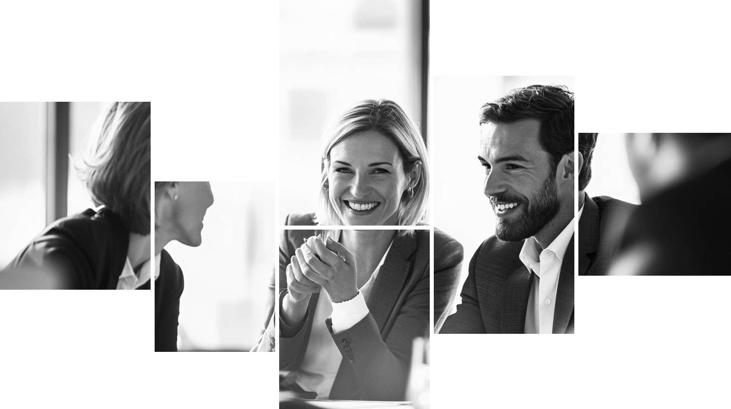 Sitefinity partnership header